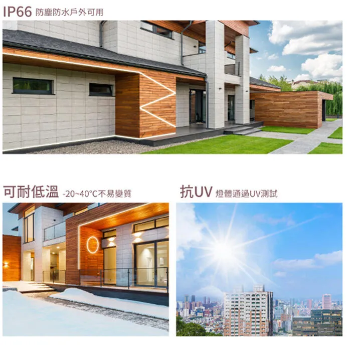 舞光 霓虹 戶外 DC24V 軟條燈 正發光 側發光 一捆五米 驅動器另購 LED-35NT24V8