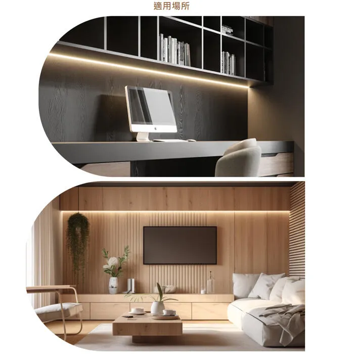 舞光 角落霓虹DC24V軟條燈 一捆五米 可任意剪裁 驅動器另購 D-35NT24V9CO