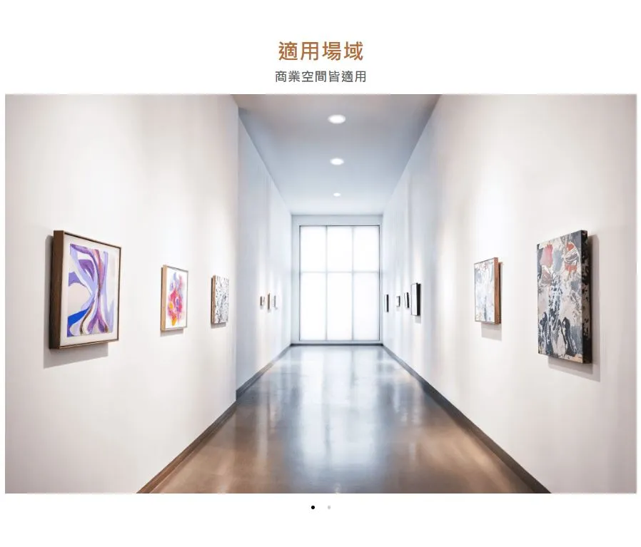 舞光 LED 25W 索爾崁燈 崁入孔21公分 適用5米 無藍光 白光D-21DOP25DR2 自然光D-21DOP25NR2 黃光D-21DOP25WR2