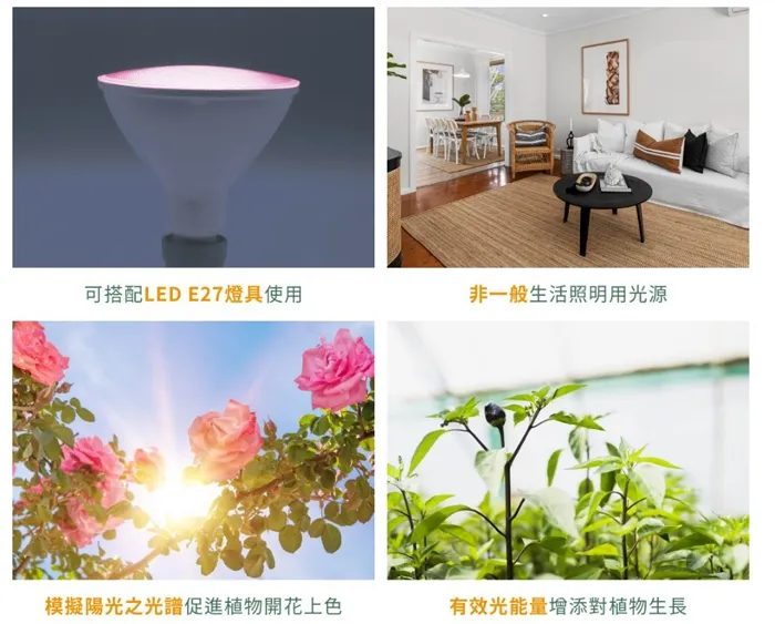 舞光 植物燈專用 紅藍光譜LED-PAR3824RB PAR38 E27燈頭  防水型 LED 24W