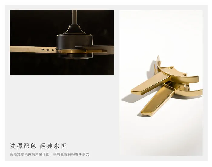 台灣製吊扇 酷必客 60吋DC吊扇+LED15W 黃光 附遙控器 60LP33-L-W平光白   60LP33-L-B平光黑