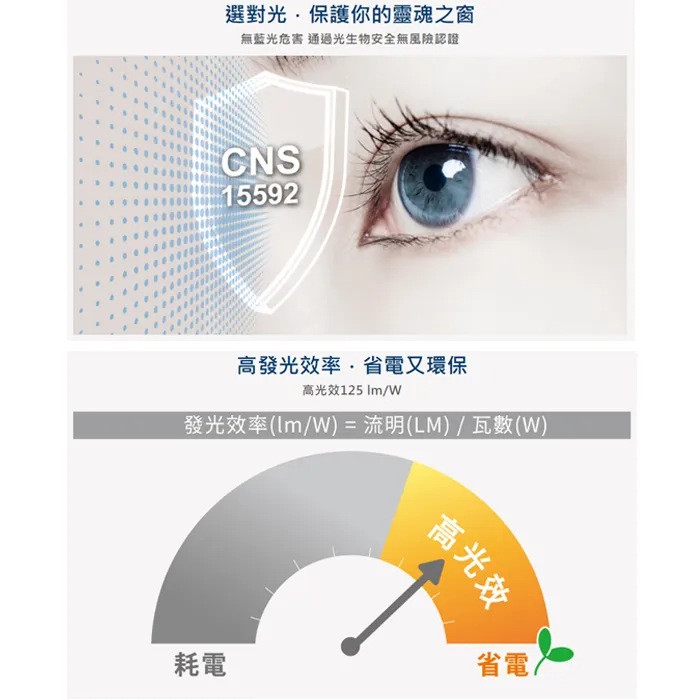 舞光 LED 50W/100W/150W/200W 凱薩泛光燈 (E-FLCS) 防水戶外投射燈 全電壓