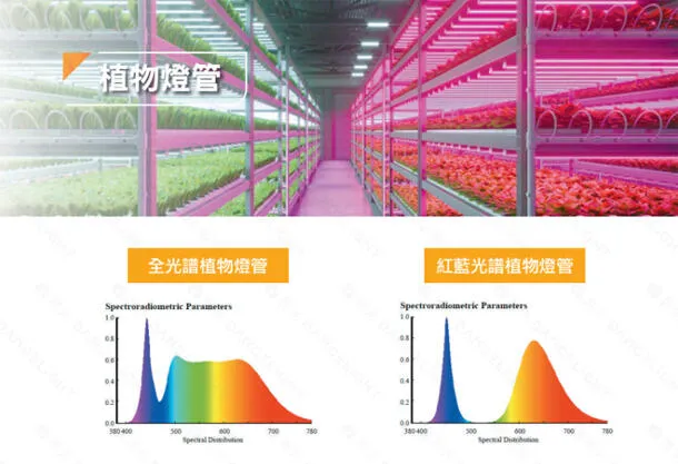 舞光T8 LED 2尺 9W / 4尺 18W 全光譜.紅藍光譜植物燈管 植物專用 LED-T818  LED-T89