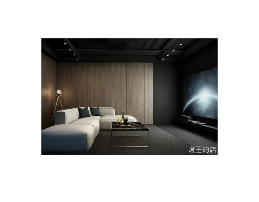 舞光LED 邱比特軌道燈20W /30W 白框/黑框 防眩設計不刺眼 三色溫 全電壓 (LED-TRCP20 LED-TRCP30)