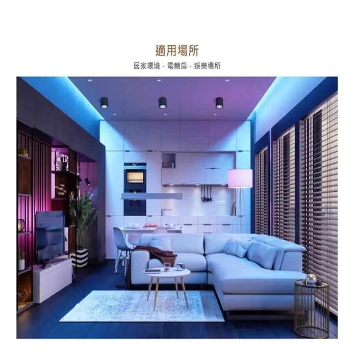 舞光 室內專用 DC24V 幻彩COB軟條燈(D-CO24V-RGBR1)一捆五米 附遙控器 驅動器另購