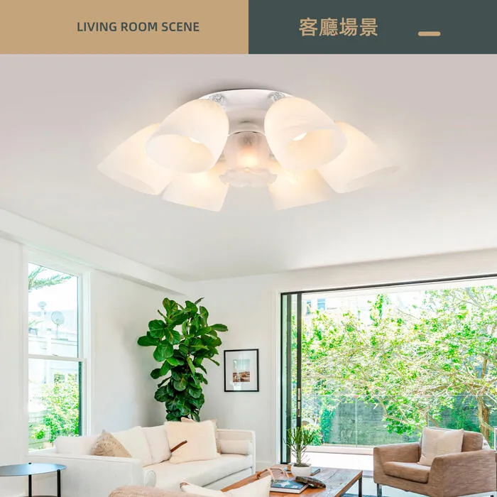 柏拉圖 設計師新款 半吸頂燈3+1燈/5+1燈/6+1燈 客廳燈 房間燈 餐廳燈 A3514/3+1 A3514/5+1 A3514/6+1