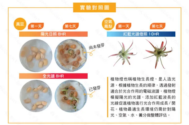 舞光T8 LED 2尺 9W / 4尺 18W 全光譜.紅藍光譜植物燈管 植物專用 LED-T818  LED-T89