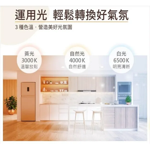 舞光 LED 12W 奧丁崁燈 崁入孔12公分 一體成型 快速安裝 LED-12DOP12R2