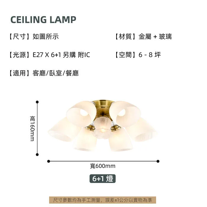柏拉圖 設計師新款 半吸頂燈3+1燈/5+1燈/6+1燈 客廳燈 房間燈 餐廳燈 A3514/3+1 A3514/5+1 A3514/6+1