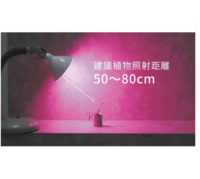 舞光 植物燈專用 紅藍光譜LED-PAR3824RB PAR38 E27燈頭  防水型 LED 24W