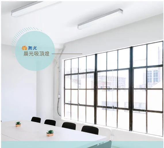 舞光 LED 2尺 / 4尺晨光吸頂燈 防眩罩 一體式 室內專用白光6500K  LED-2216D 4216D