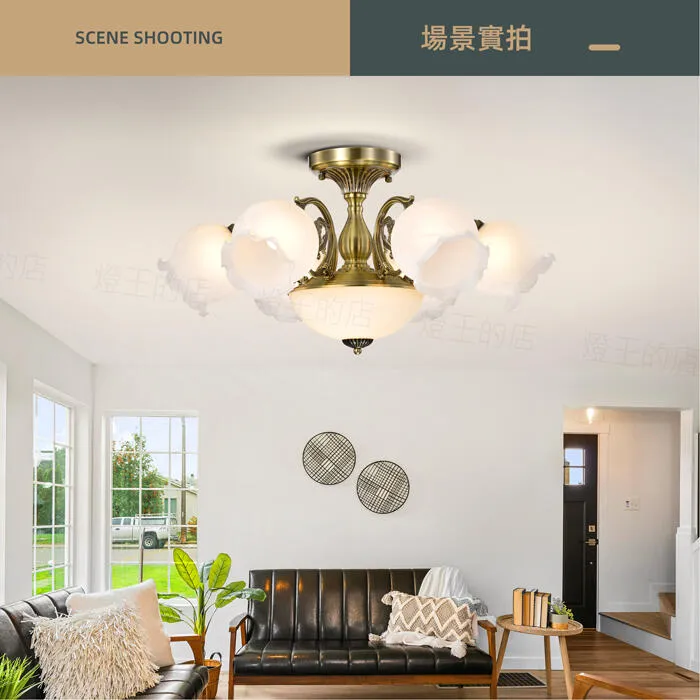 柏拉圖 設計師嚴選 半吸頂燈  客廳燈 餐廳燈 臥室燈 3+1燈62633  6+2燈62632  8+2燈62631