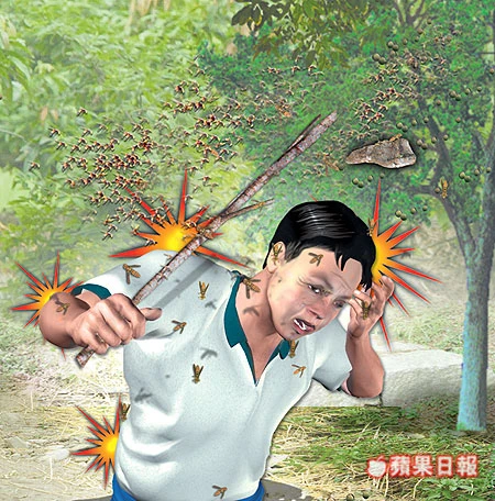 台灣之亂源-姓名全錯了-[理論VS實際]-恐怖的巧合!!!--3