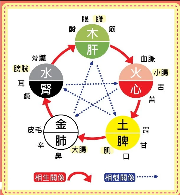 姓名五行格局vs身體五臟疾病