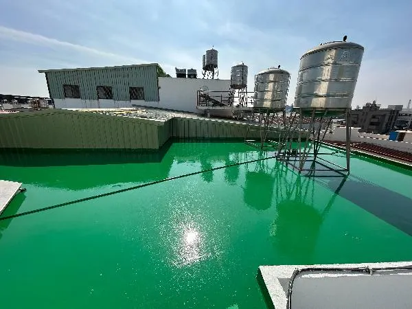 高雄仁武區住宅屋頂-PU防水地坪