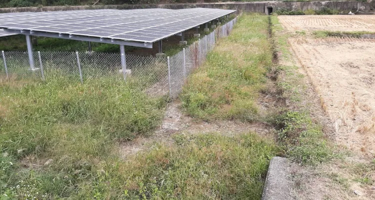 【實際案例】銅鑼太陽能光電廠除草