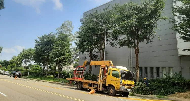 【實際案例】竹南竹科工廠區樹木修剪