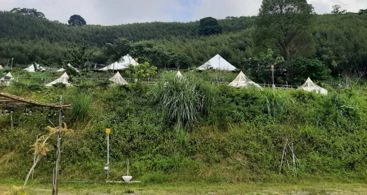 【實際案例】苑裡露營區快速除草