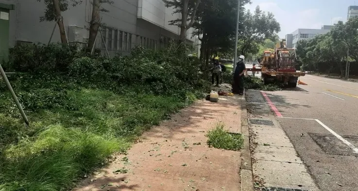 廢土石可以清運嗎？