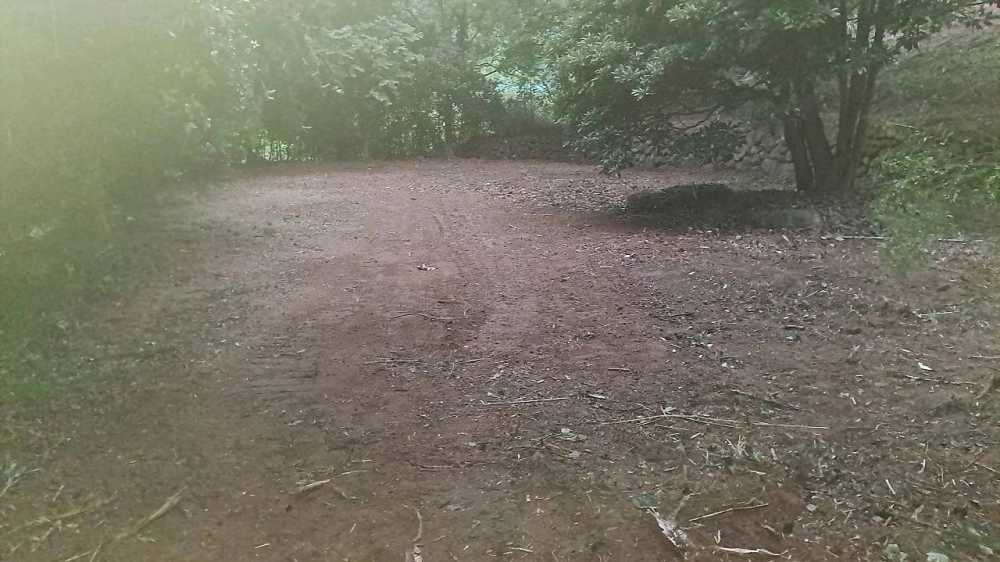 新竹關西休閒地雜草雜樹挖除作業