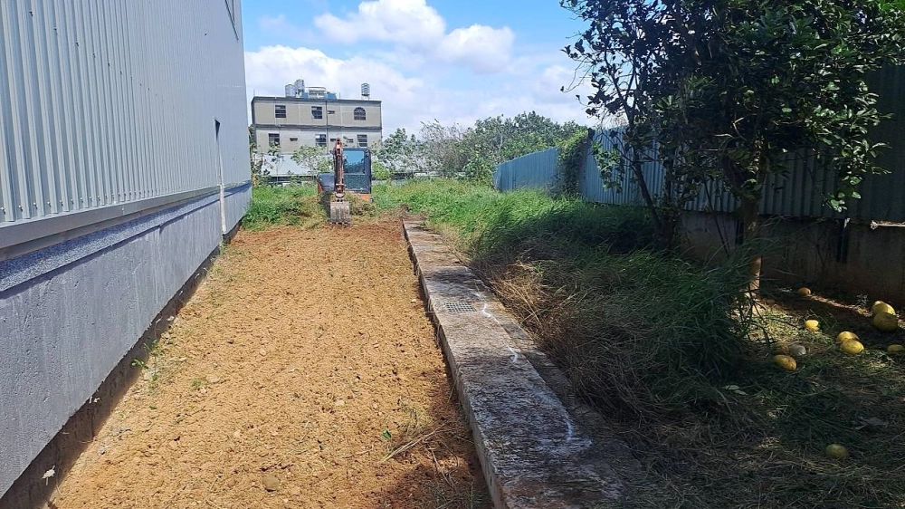新竹新埔廠房空地雜草雜樹挖出作業