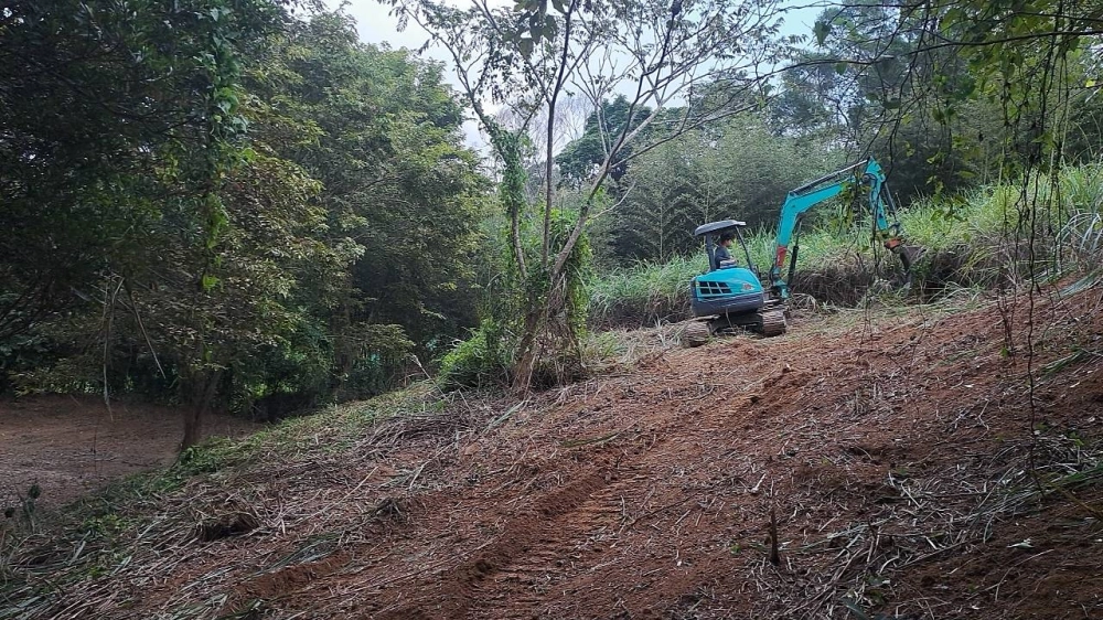 新竹關西休閒地雜草雜樹挖除作業