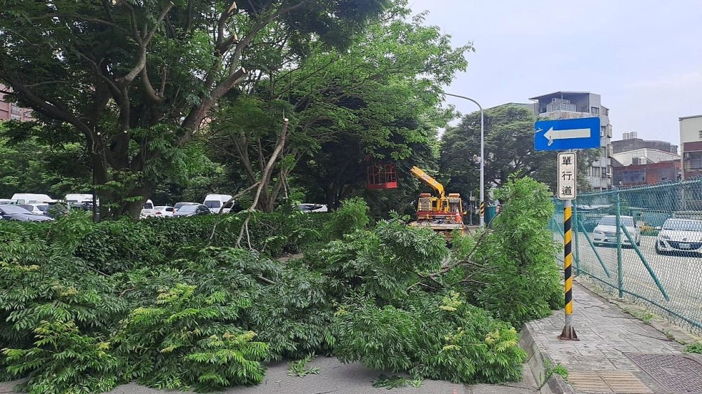 楊梅埔心公園停車場