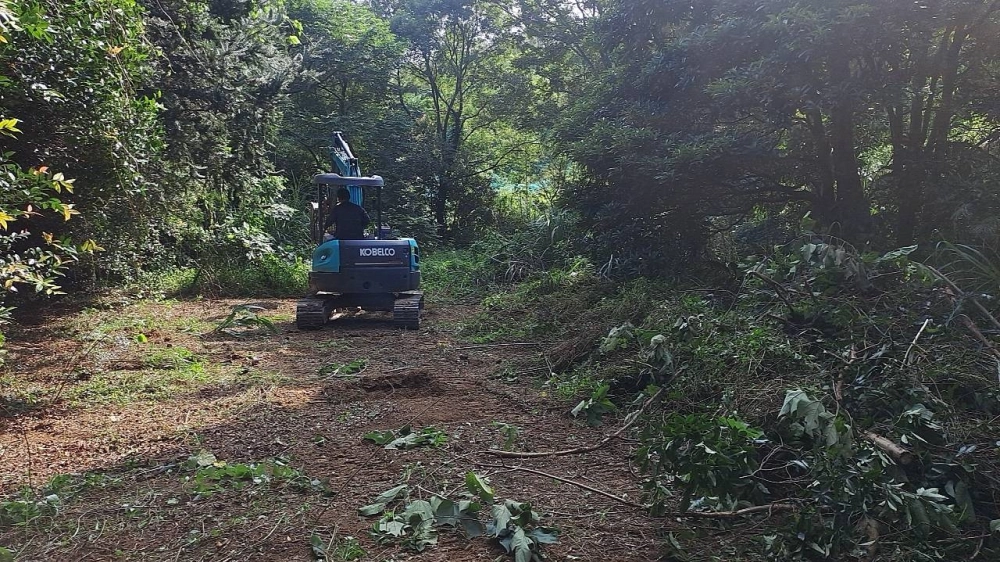 新竹關西休閒地雜草雜樹挖除作業