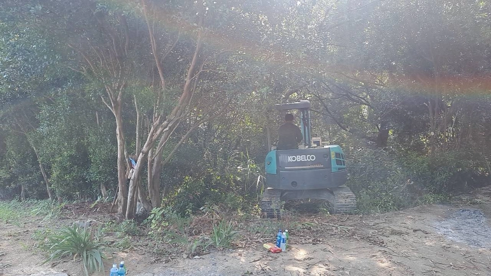 新竹關西休閒地雜草雜樹挖除作業