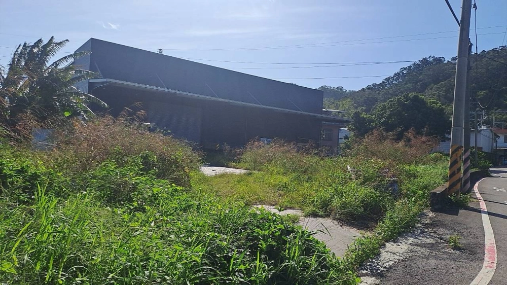 新竹新埔廠房空地雜草雜樹挖出作業