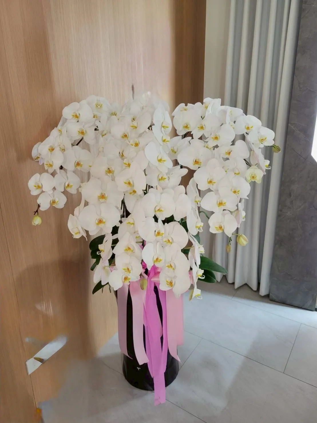 蘭花盆
