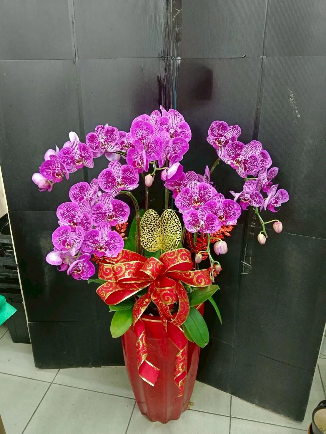 蘭花盆