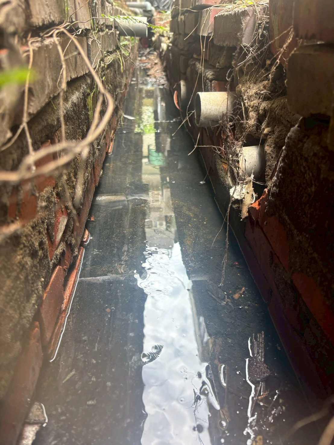 台中市北區賴先生水管内有異物滯留造成阻塞
