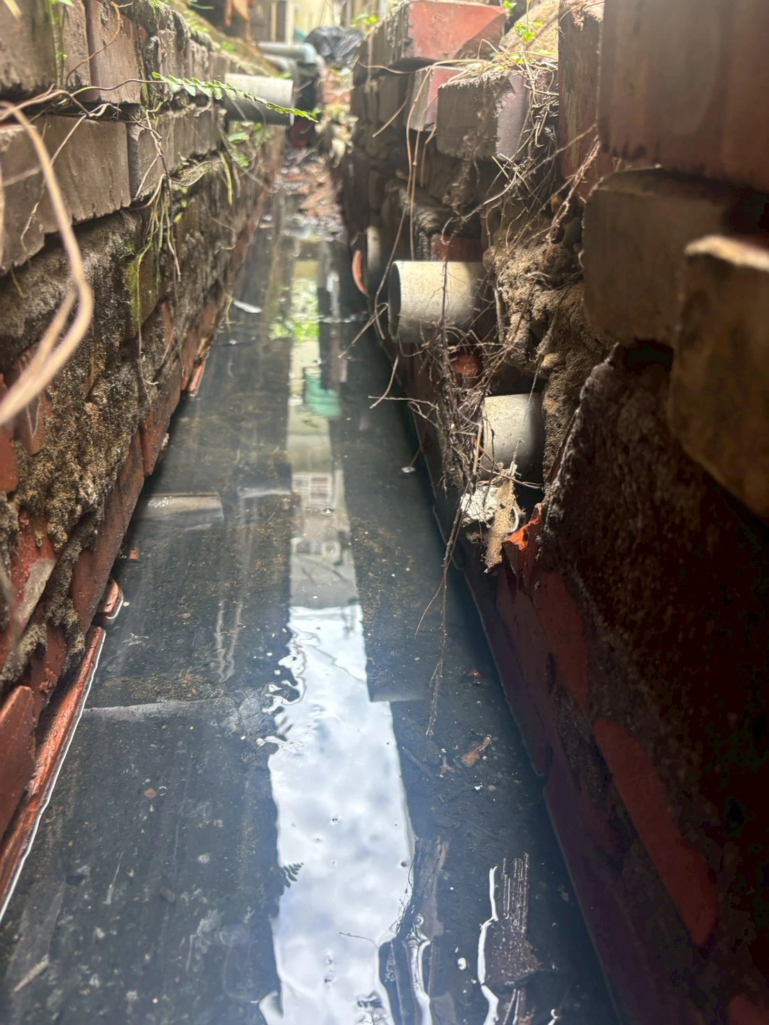 台中市北區賴先生水管内有異物滯留造成阻塞