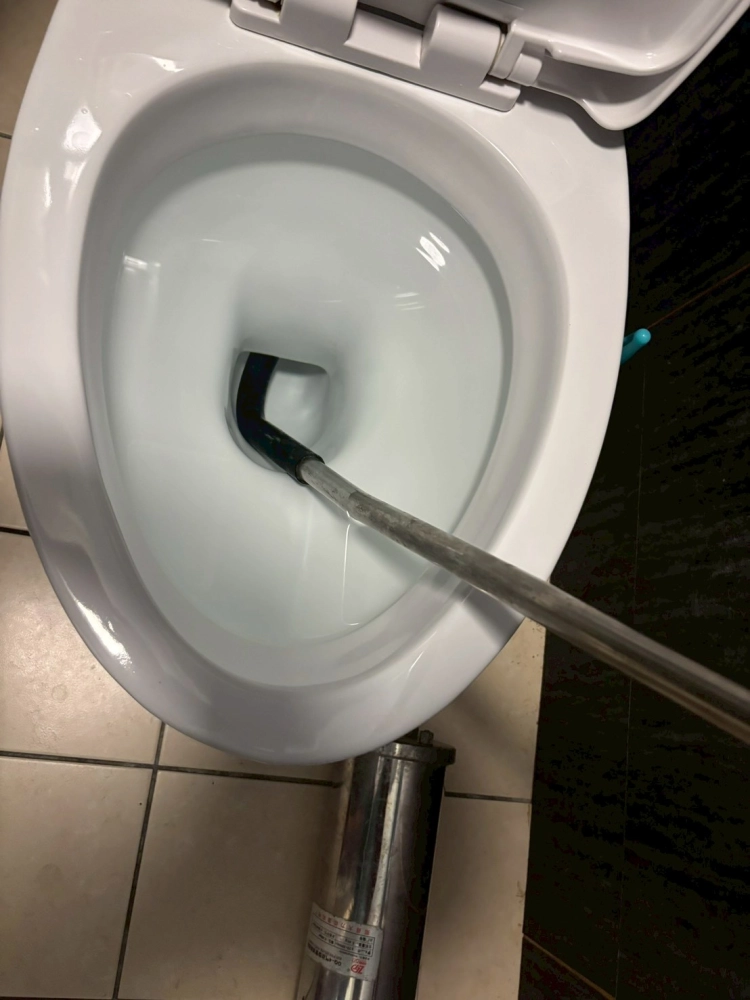 台中市西屯區于小姐，糞管阻塞