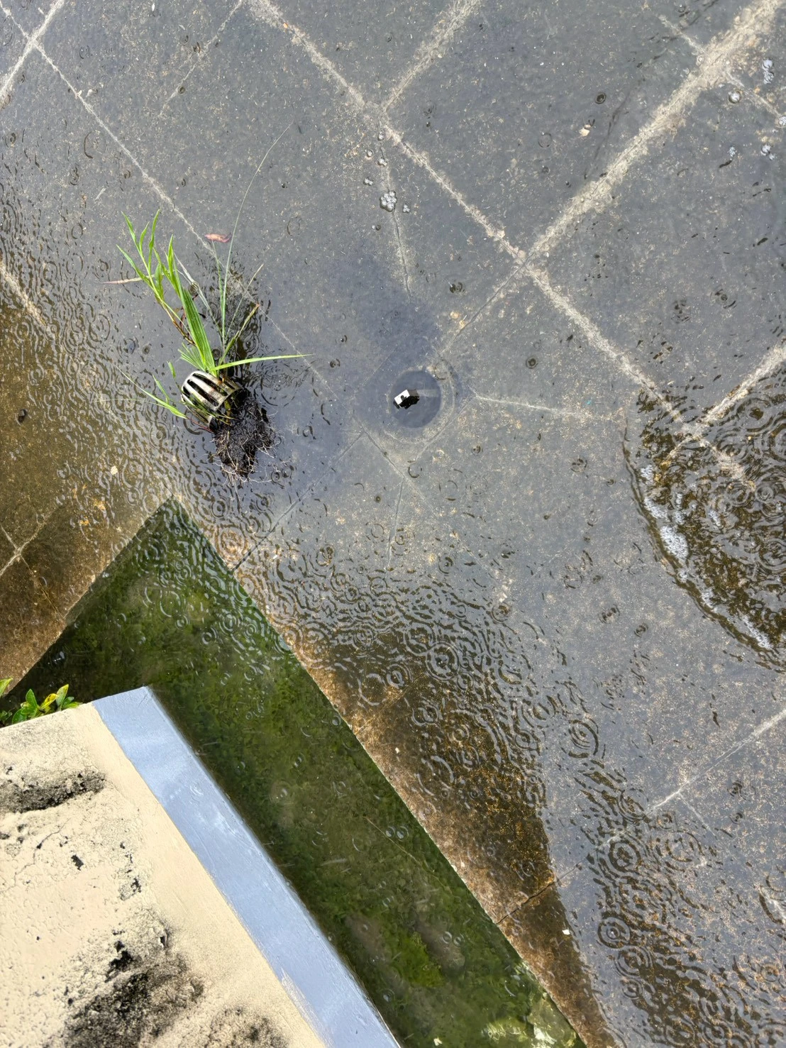 台中大樓雨排清洗/北屯區大樓樓頂雨排清洗