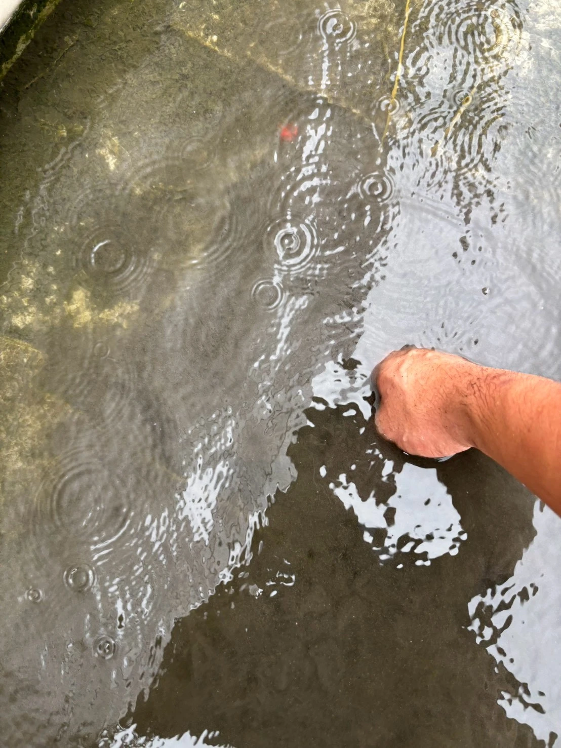 台中大樓雨排清洗/北屯區大樓樓頂雨排清洗