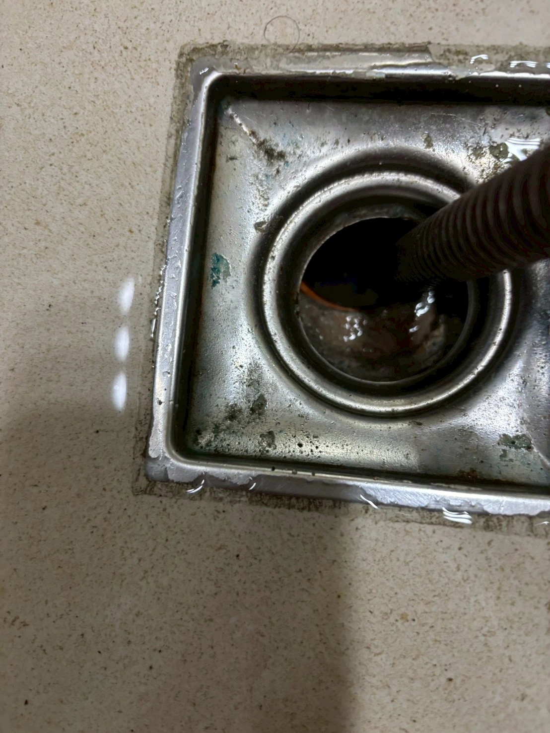 北區蘇先生浴室總存水彎疏通