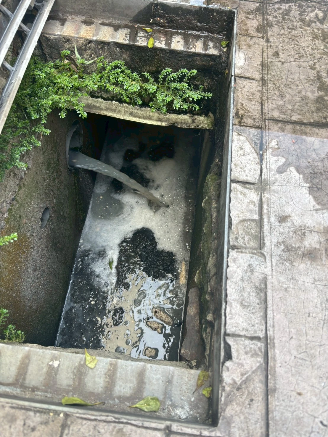 龍井區水管疏通/台中通管推薦/廚房管道疏通