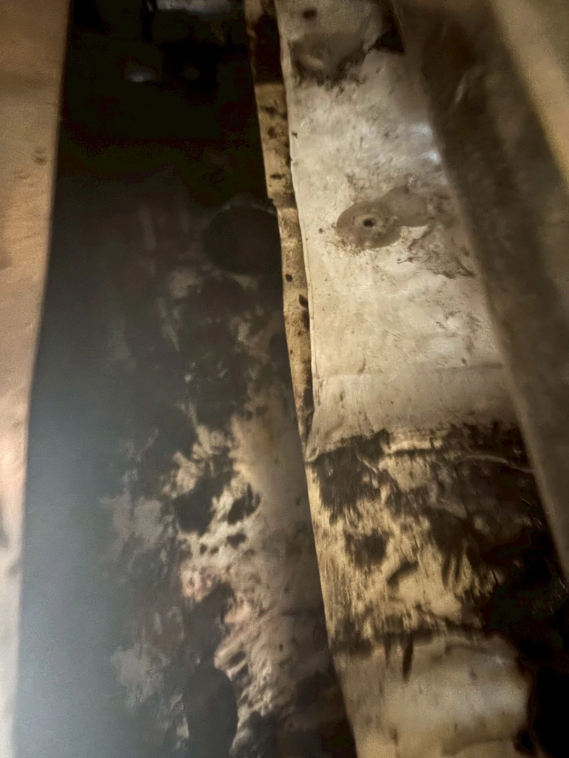 北屯區沈先生雨排清潔疏通