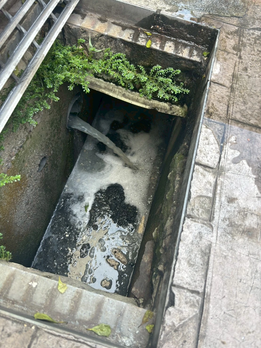 龍井區水管疏通/台中通管推薦/廚房管道疏通