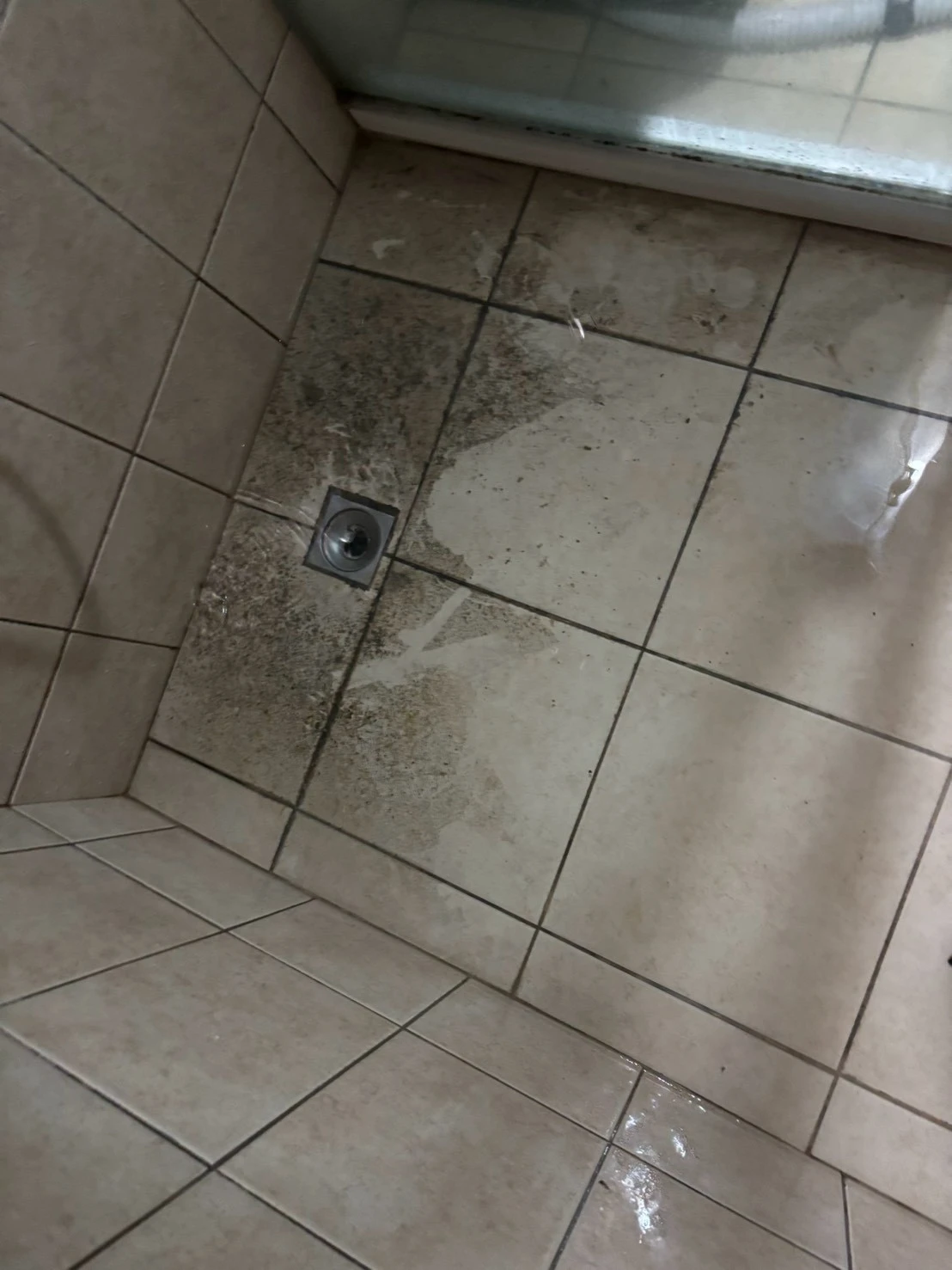 西屯區通水管/公共管道疏通