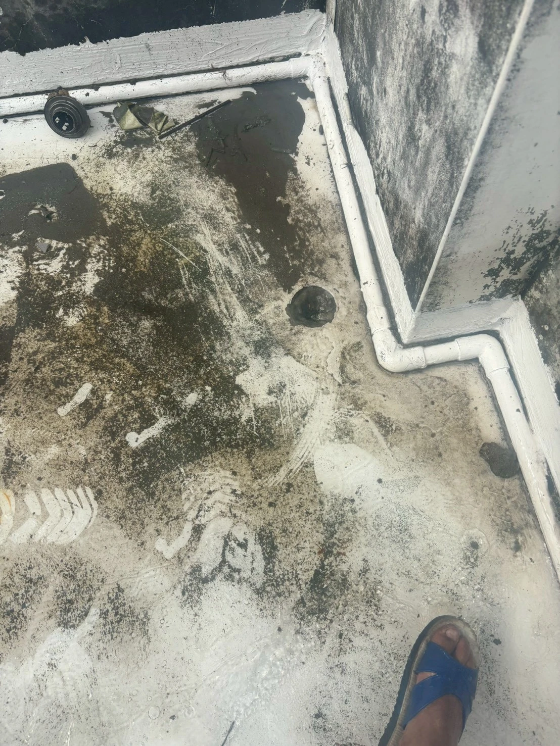 台中通管推薦/西區通管/周先生屋頂雨排通管