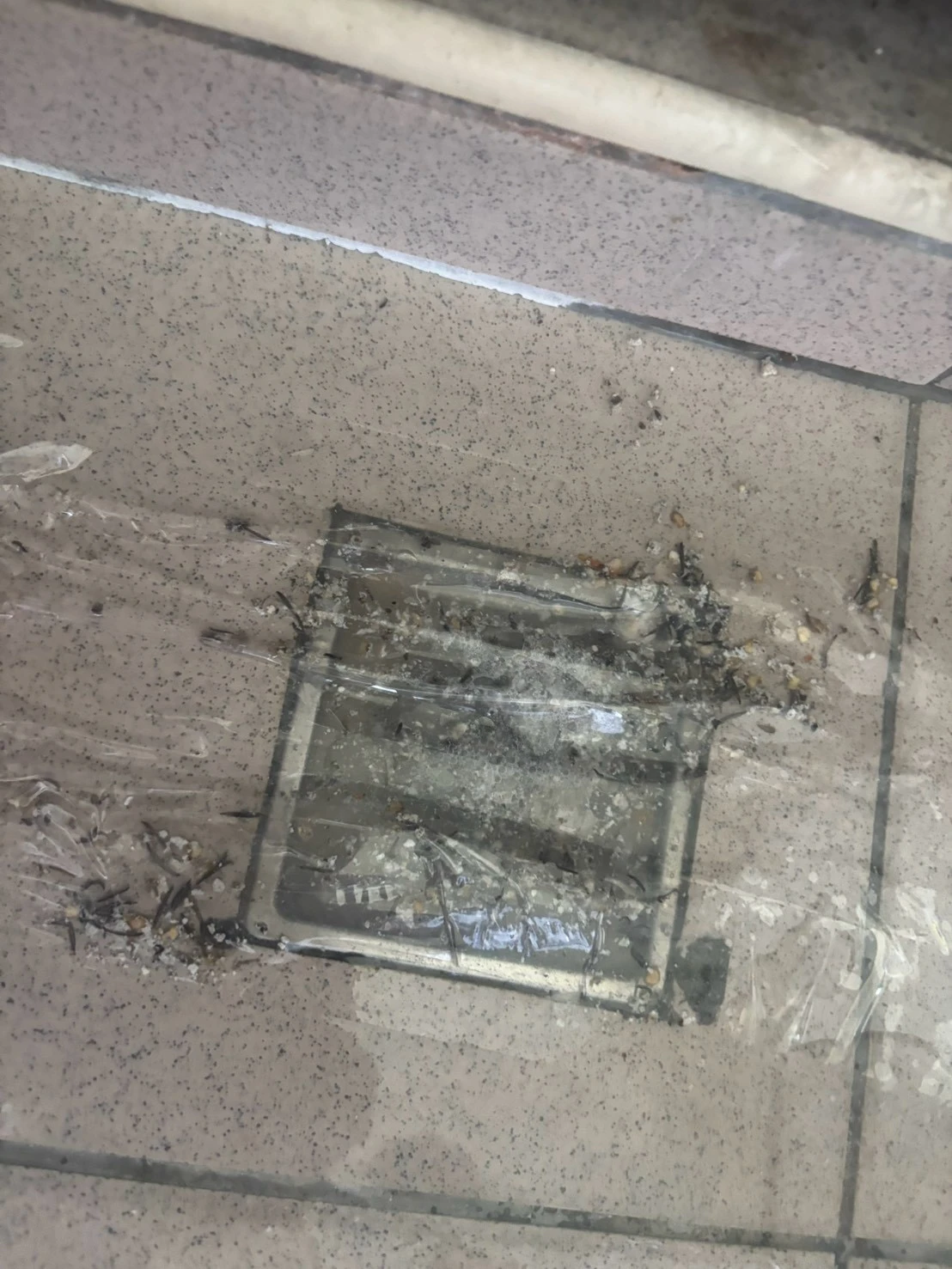 南投水管疏通/廚房水管堵塞協助疏通