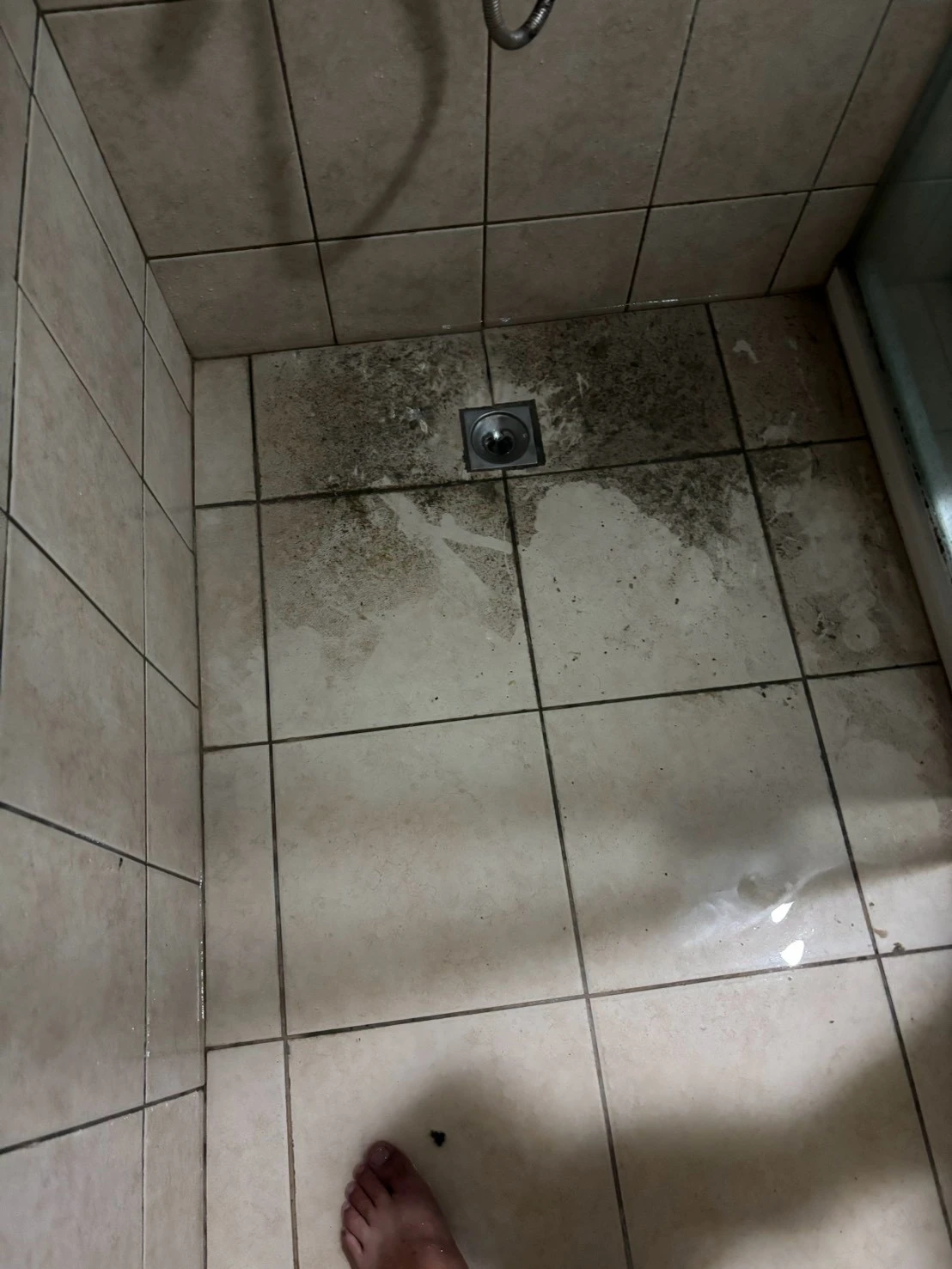 西屯區通水管/公共管道疏通