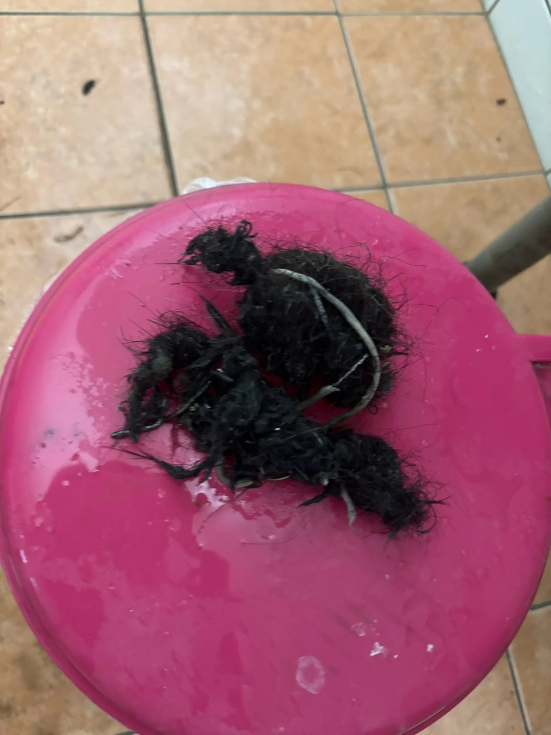 芬園鄉通水管/彰化通水管