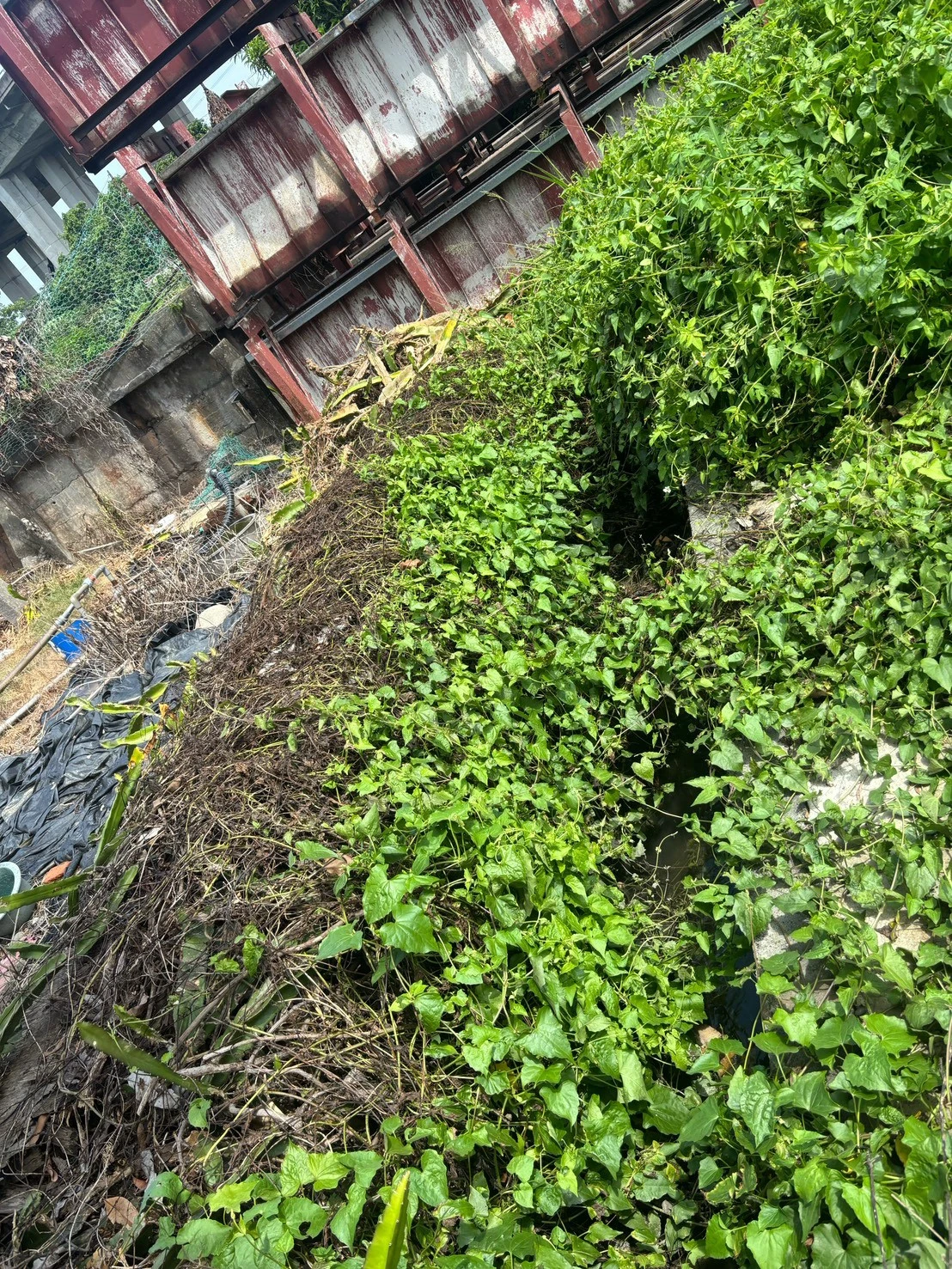 彰化水溝清洗/排水溝清理推薦