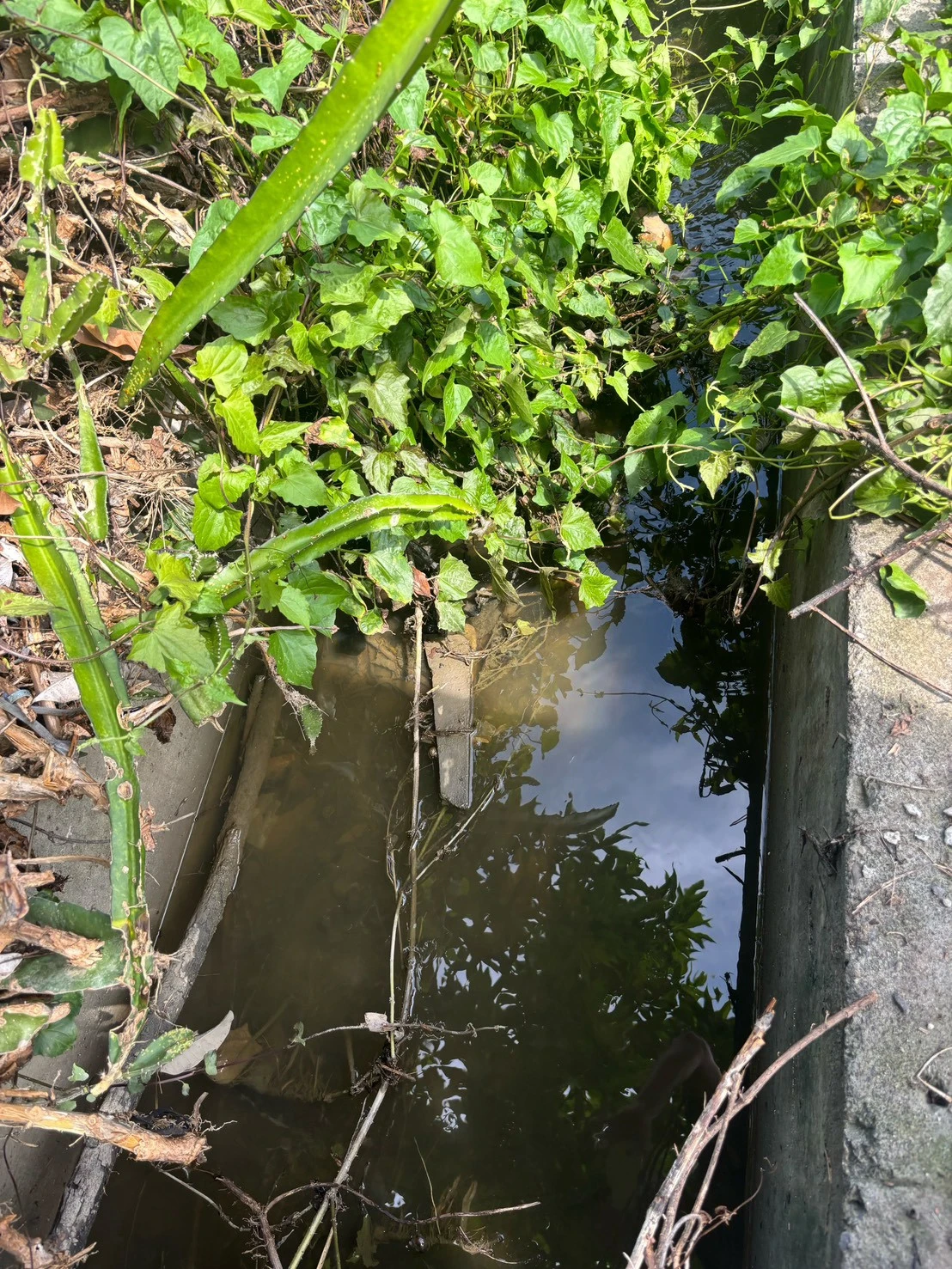 彰化水溝清洗/排水溝清理推薦
