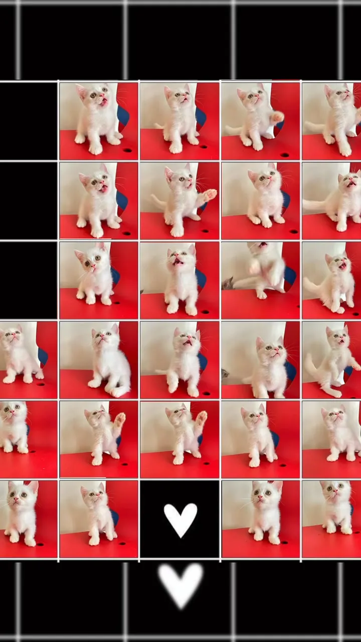 小白妹曼赤肯來勢洶洶