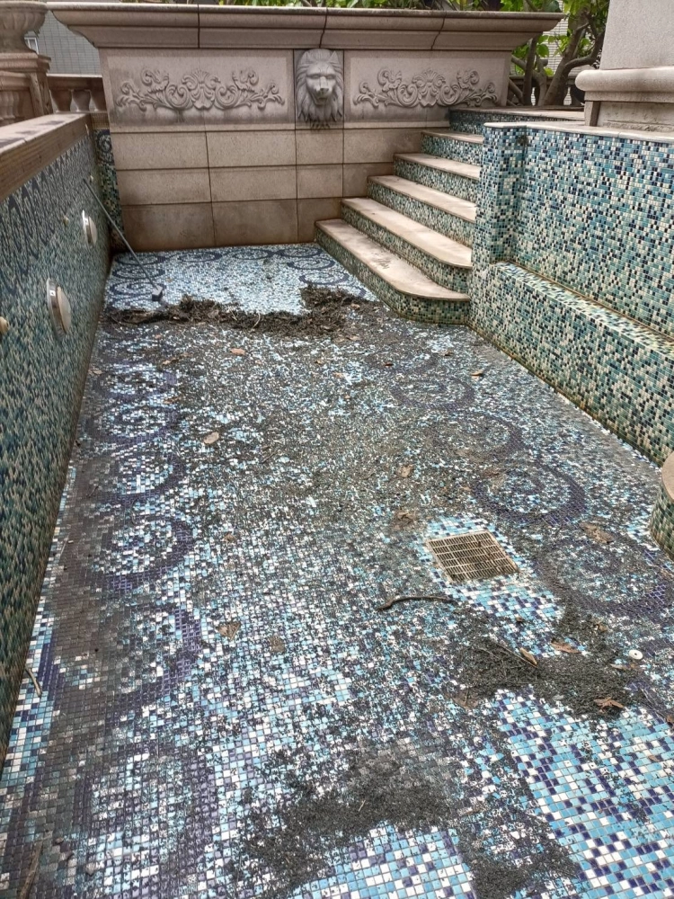 淡水別墅泳池清洗